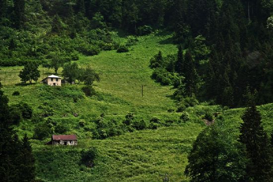 Yeil Bir Bakadr Karadeniz’de