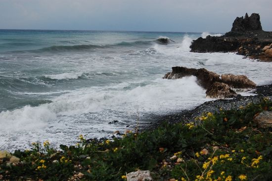 F�rt�na �i�ekleri