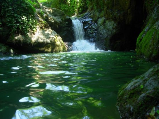 Ordu Nun Dereleri :)