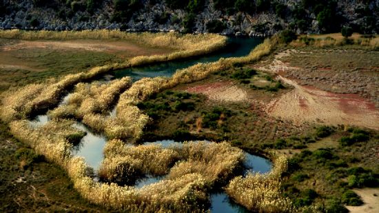 Dalyan