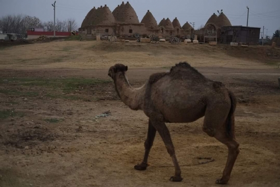 Harran’dan