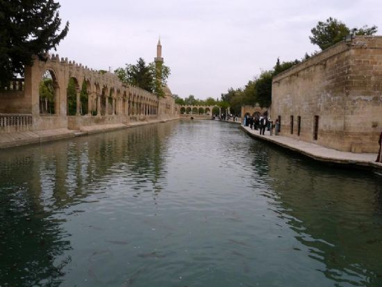 anlurfa Balklgl’den