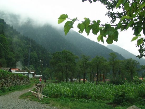Karadeniz Uzongl De Teknoloji Ve Doa