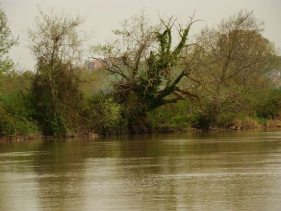 Sakarya Nehri 2