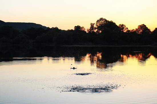 G�lde Ta� Sektirme