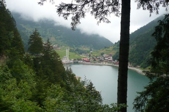 Uzungl