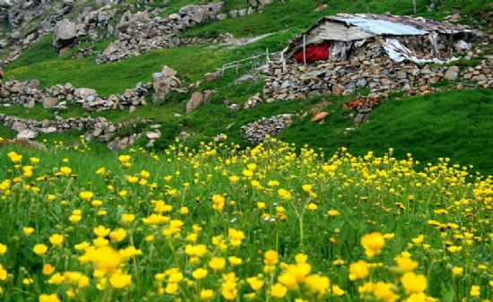 Yayla Evi