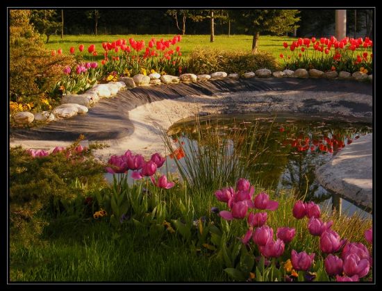 stanbul’dan Artvin’e...