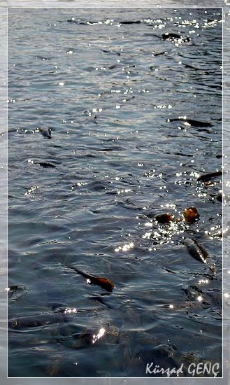 Eskiden Su Grnmezdi !