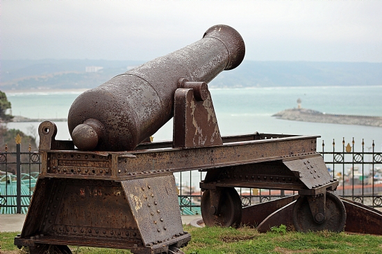 Cannon By Canon