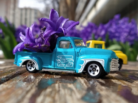 Miniciks Hayatlar ”1953 Chevy Truck”