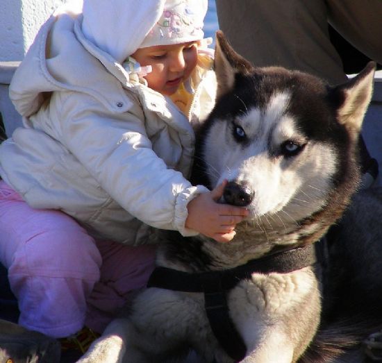 En Sevdiim Arkadam...