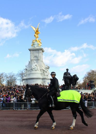 Buckingham Saray Nbet Deiimi