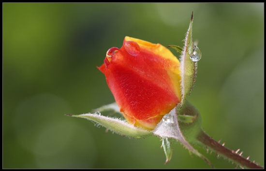 Organize ler Bunlar.. !(3)