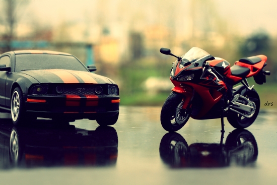 Mustang&honda