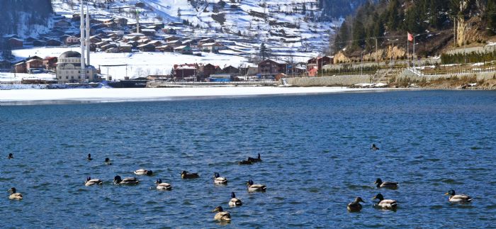 Trabzon Uzungl