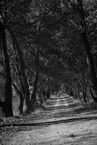 Sonbahardan Son Esintiler..