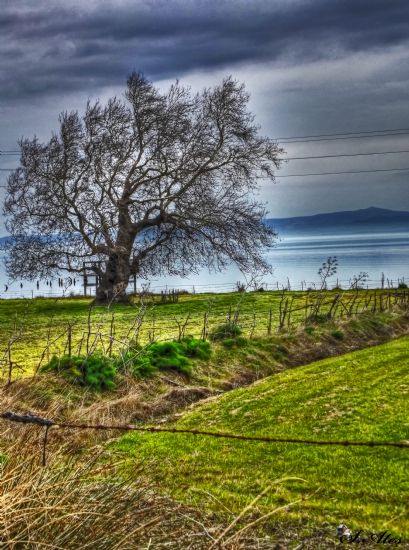 Karabiga Keyfi (hdr)