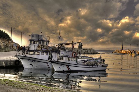 Mecidiye Balklar