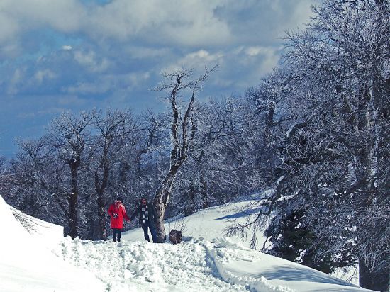 Kartepe Ak