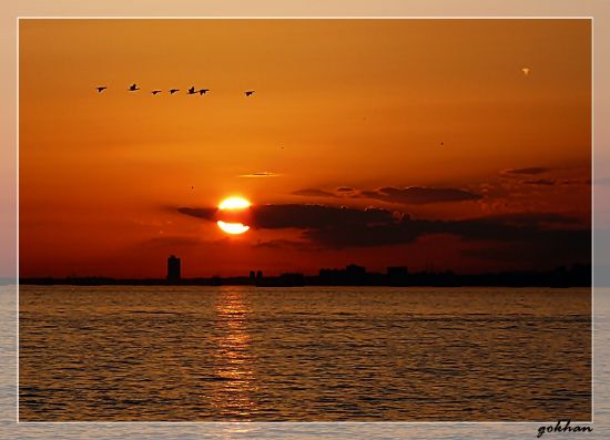 Beni De Al�n Ku�lar...