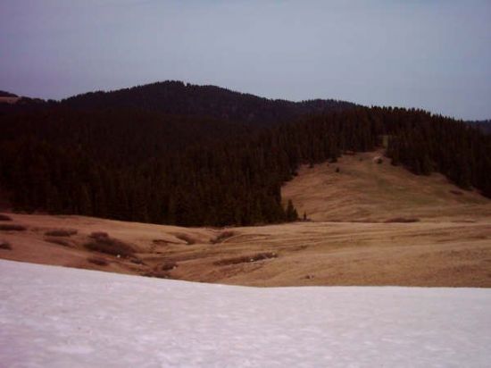 Giresun Bekta Yaylas