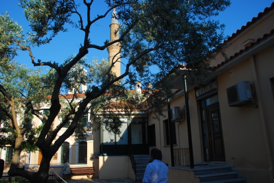 Gmlcine skee-bat Trakya