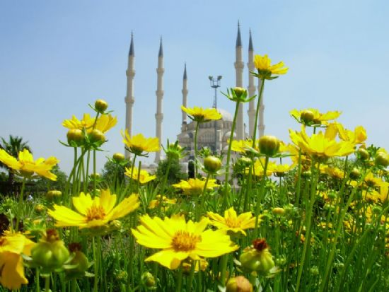 Adana Merkez Camii Ve Park