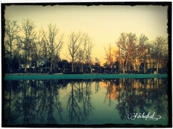 Genclik Parki Sesssiz Kendi Halinde