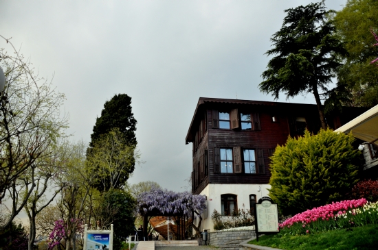 Bahar Geldi Ve Ben Yine Bir Ho Oldum