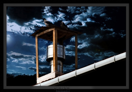 ** Crows n The Moon **