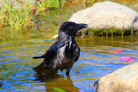 Hayat Olmu Bir Fotoraf