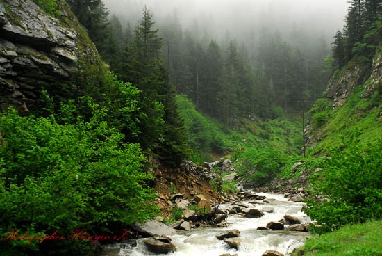 Su Gelir Gldr Gldr...