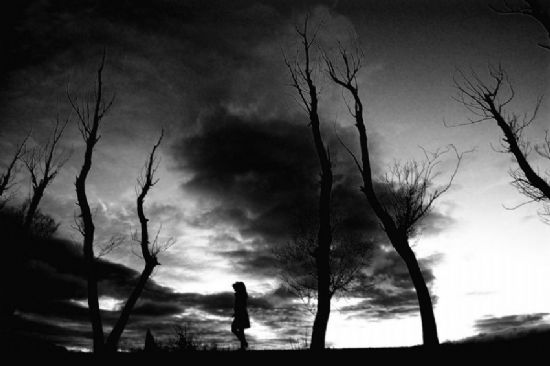 Yine Karabulutlar kt zerime ..