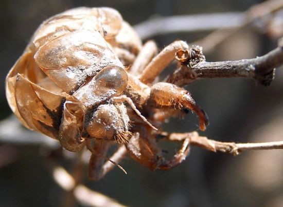 Nerede Kendileri... !!