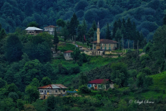 Trabzon / Arakl