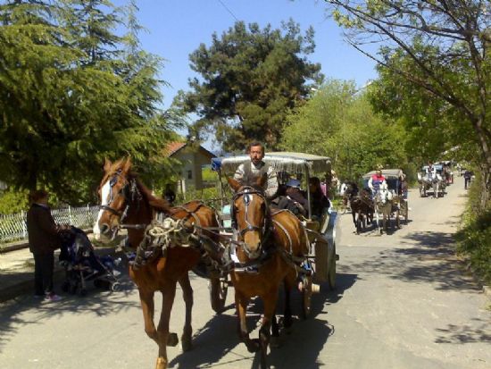 Heybeli’de Tur..