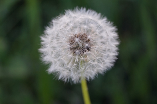 Makro Denemelerimden