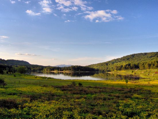 Simav G�lc�k Yaylas�