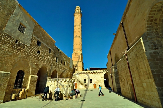 Mardin’den