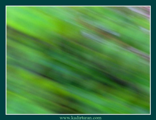 Deklan��r�m�n F�r�as�ndan