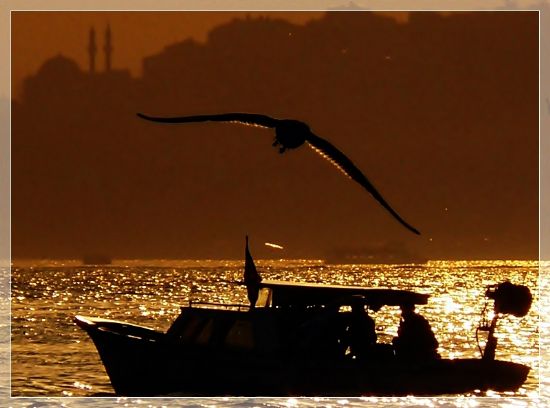 Altn Toplayanlar (2)