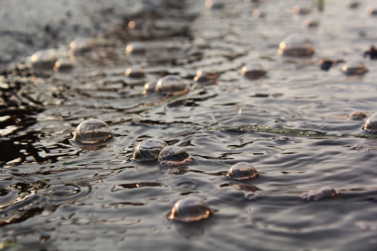 Ya�mur Ve Baloncuklar�...