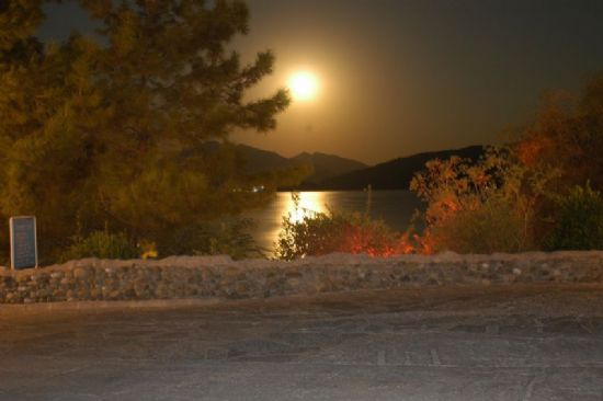 Miss  You Marmaris