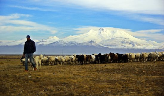 Sr Ve Erciyes