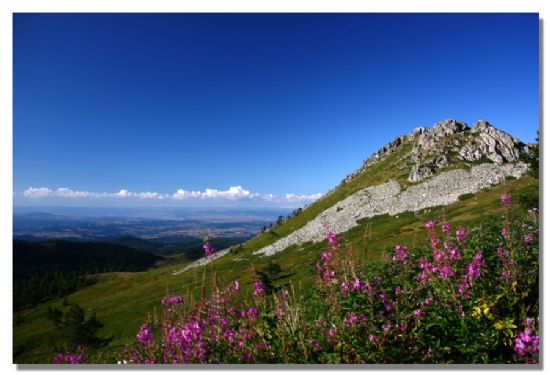 Kastamonu Ilaz Da Etekleri