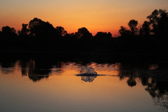 G�le At�lan Ta�