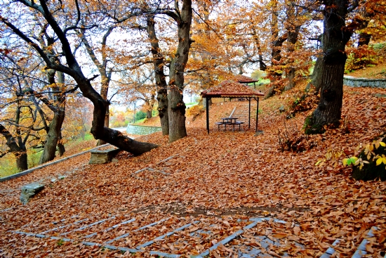 Isparta Ayazmanada Sonbahar