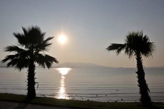 Sis Deniz Ve Yans�ma