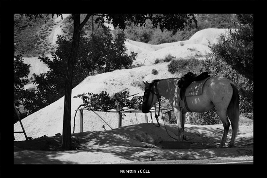 Yol Kenar� Manzaras�.